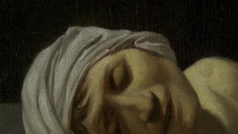 David And The Death Of Marat screenshot 2