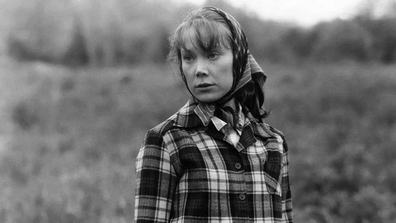 Coal Miner's Daughter screenshot 8