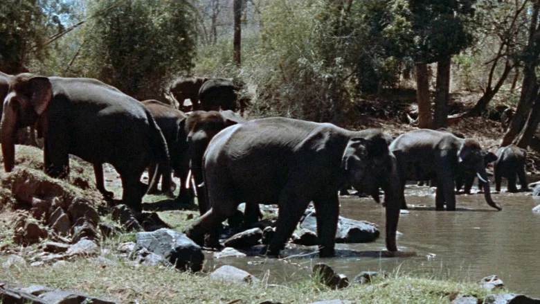 Tarzan's Three Challenges screenshot 2