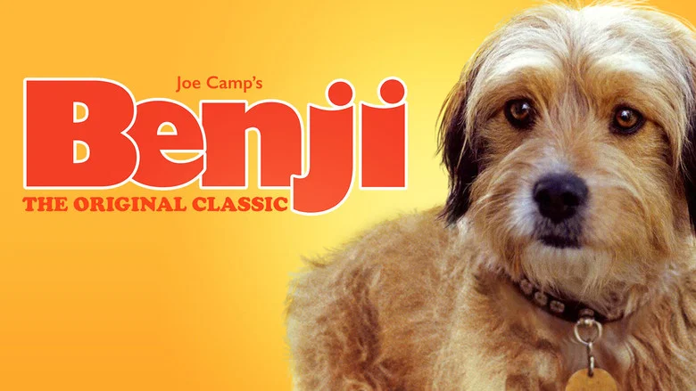 Benji screenshot 2