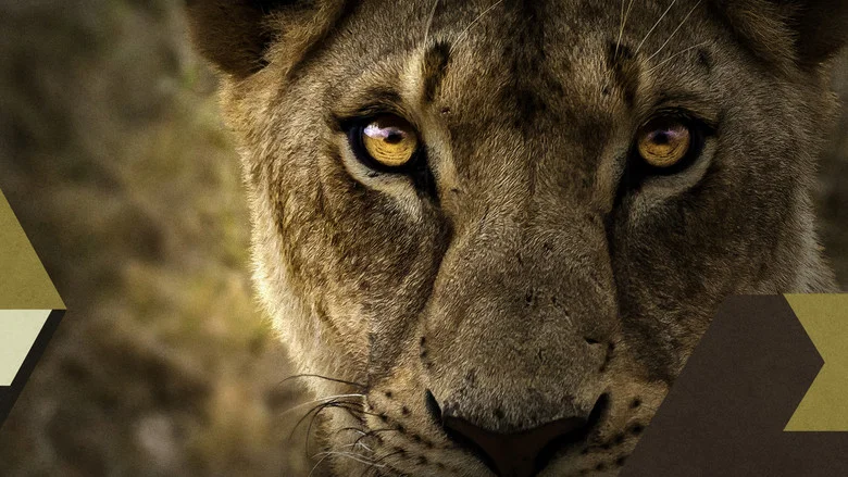 Malika the Lion Queen screenshot 1