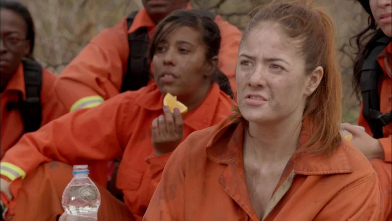 Firelight screenshot 3