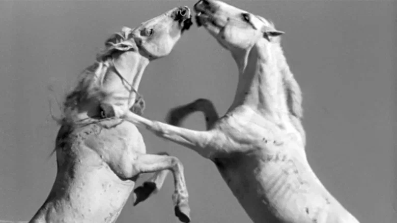 White Mane screenshot 7