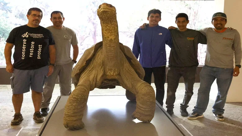 Lonesome George and the Battle for Galapagos screenshot 2