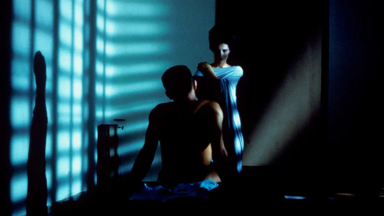 Matador screenshot 3