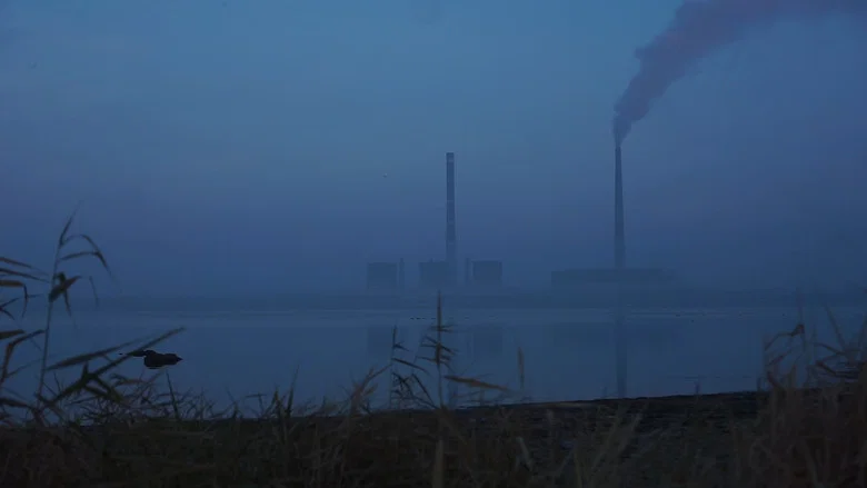 Gray Zone screenshot 1