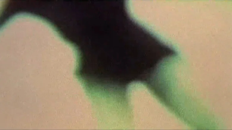 Julien Donkey-Boy screenshot 6
