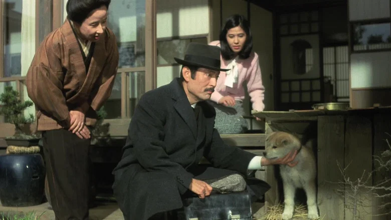 Hachiko screenshot 4