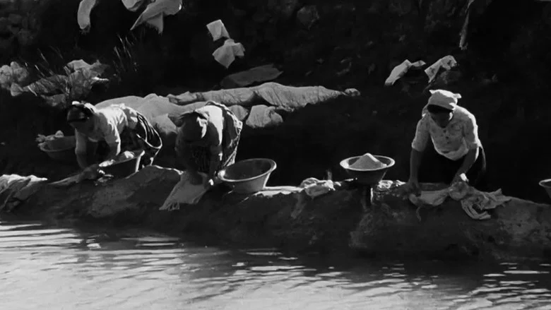 Aldeia da Roupa Branca screenshot 3