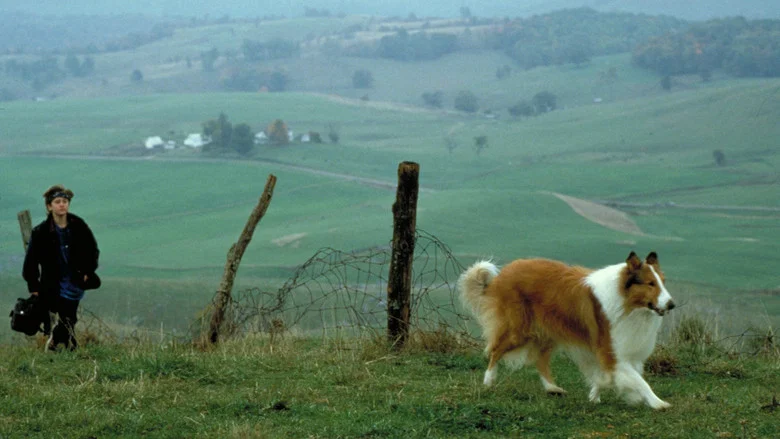 Lassie screenshot 2