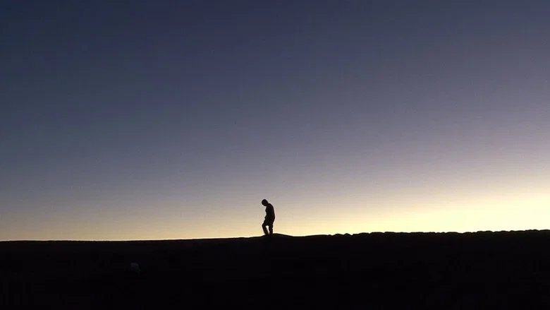 Nostalgia for the Light screenshot 2