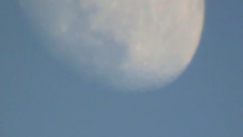 Moonwalk screenshot 2