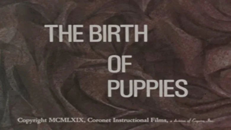 The Birth of Puppies screenshot 1
