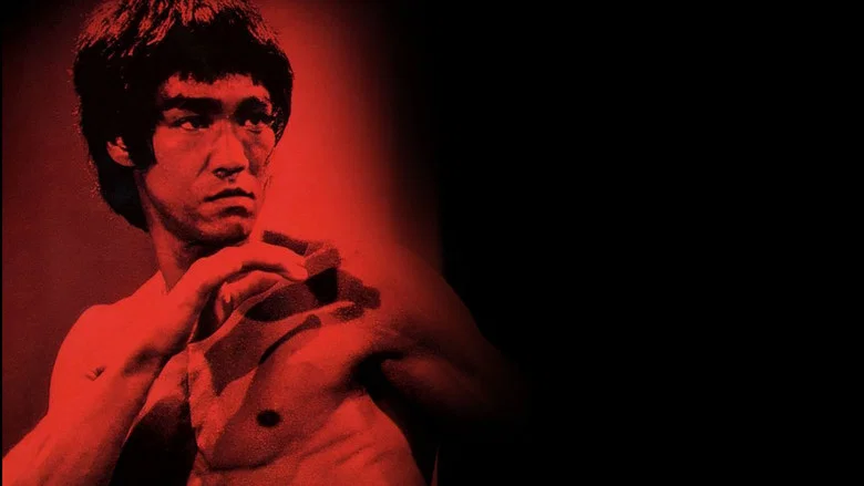 Bruce Lee, the Legend screenshot 3