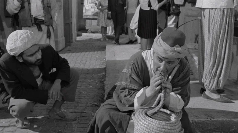 Carry On Spying screenshot 6
