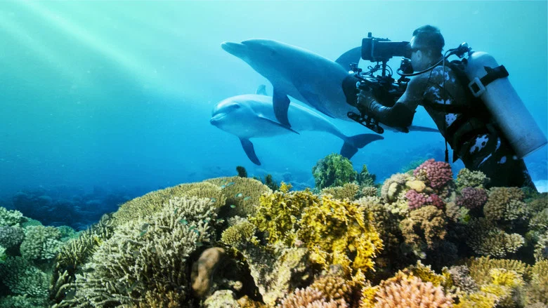 Diving with Dolphins screenshot 3