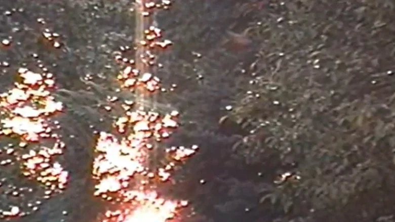 Slaughtered Secretaries screenshot 1