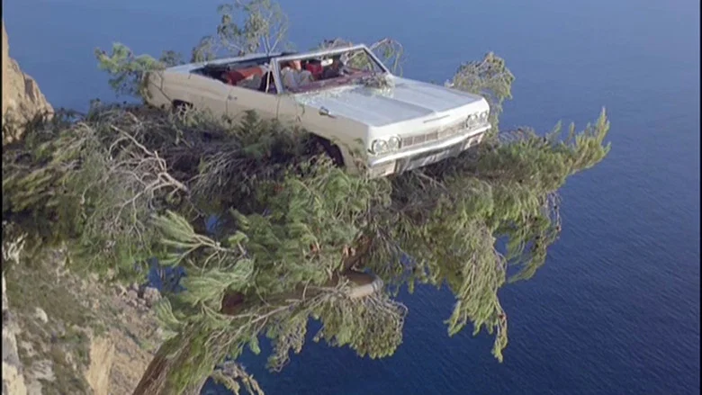 Perched on a Tree screenshot 4
