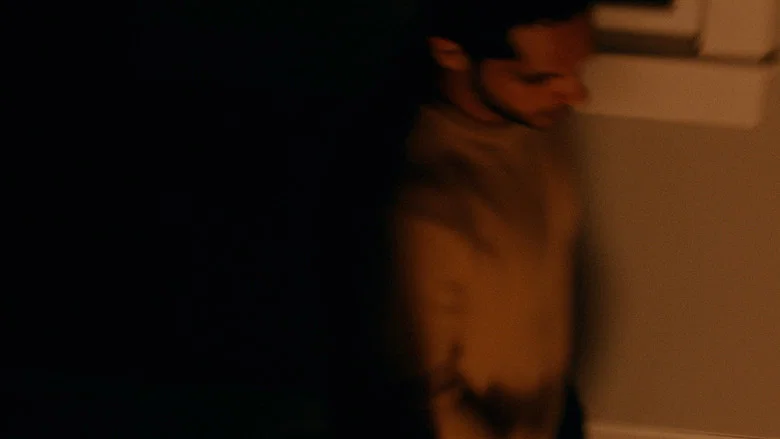 Mehman screenshot 8