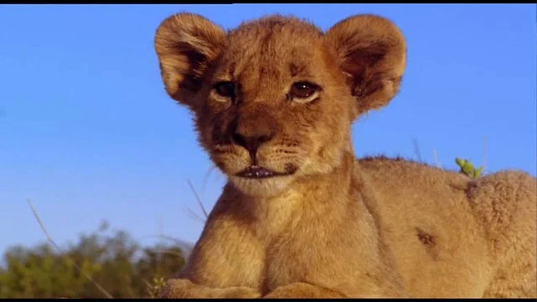 Pride screenshot 1
