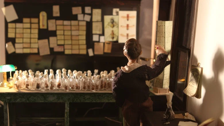 The Fly Room screenshot 1