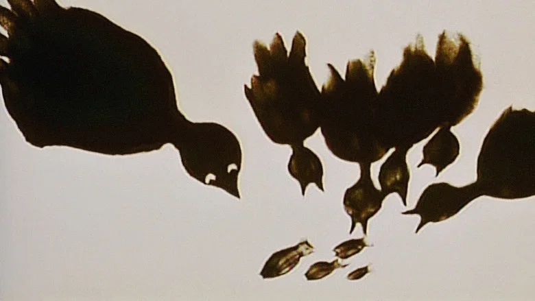The Owl Who Married a Goose: An Eskimo Legend screenshot 2