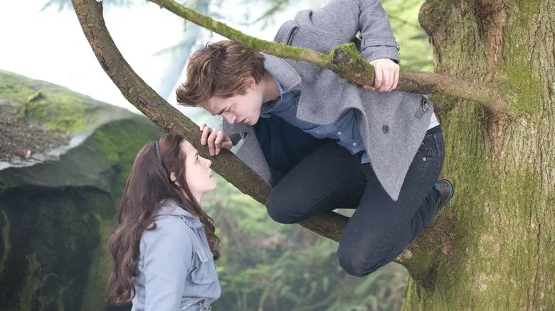 Twilight screenshot 3