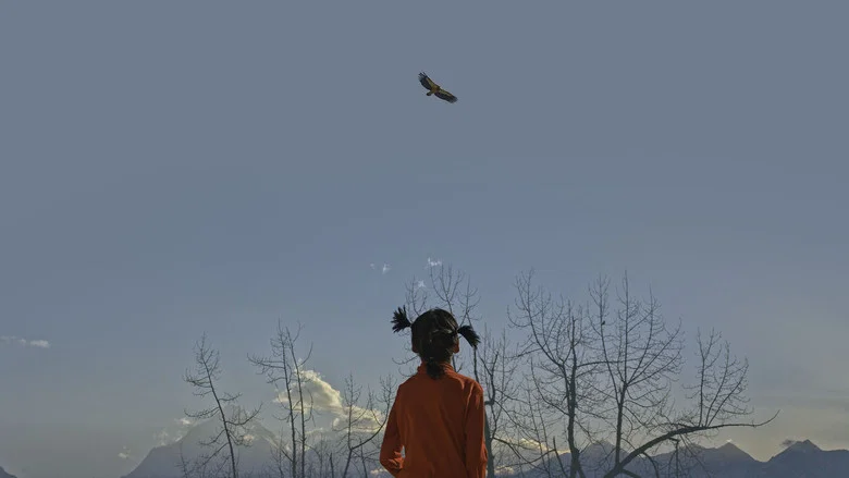 Blue Kangling screenshot 2