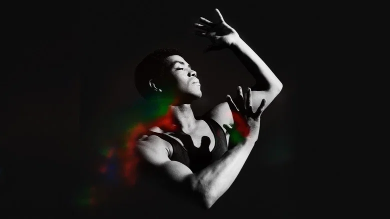 Ailey screenshot 4