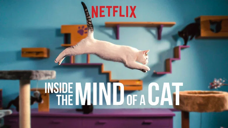 Inside the Mind of a Cat screenshot 4