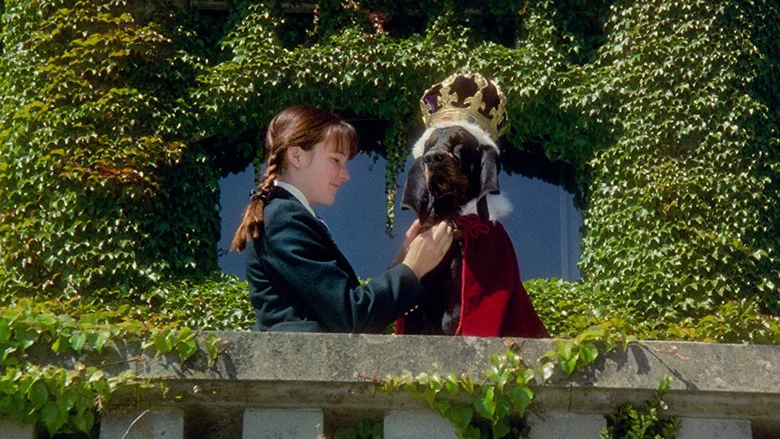 The Duke screenshot 1