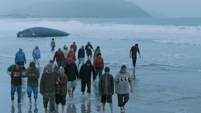 Whale Rider screenshot 5