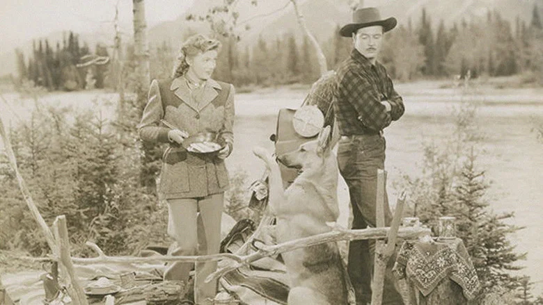 Northwest Stampede screenshot 1