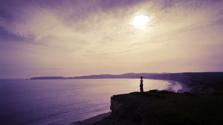 The Love Effect screenshot 1