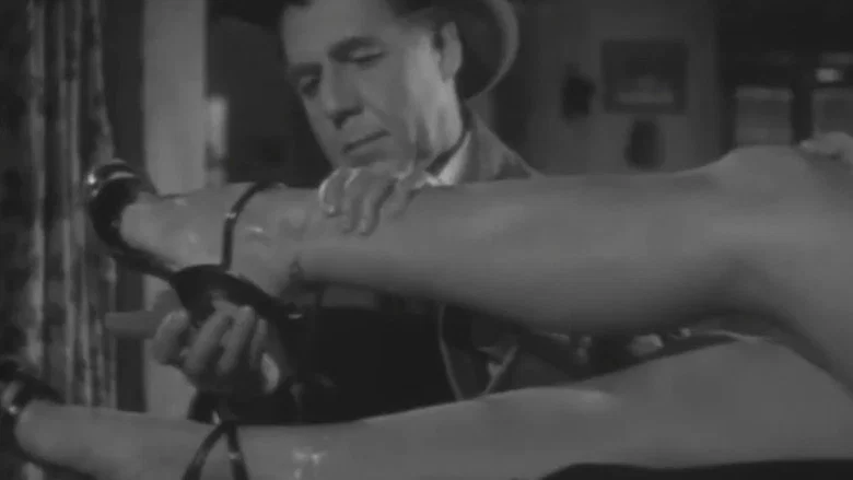 Sensualidad screenshot 2