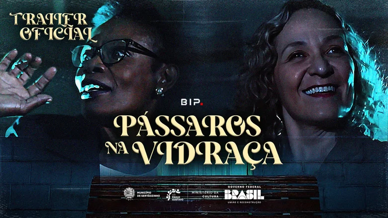 Pássaros na Vidraça screenshot 1