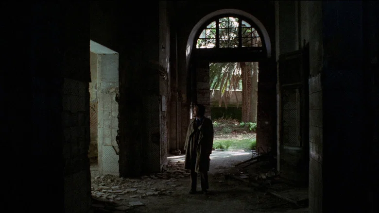 The Fifth Cord screenshot 5