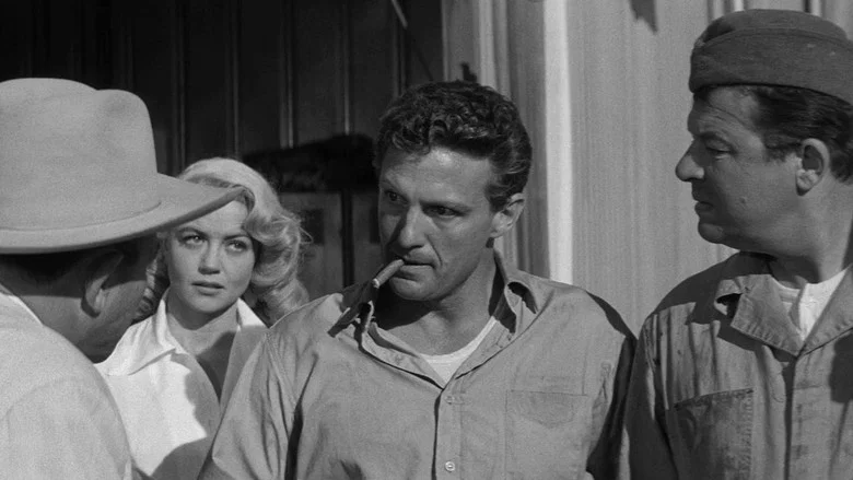 The Tarnished Angels screenshot 3