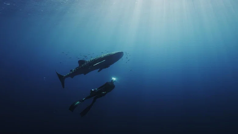 Swimming with Legends screenshot 1