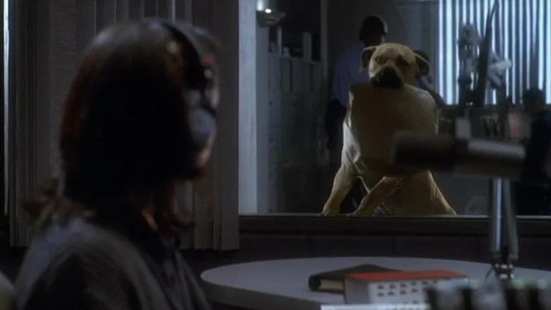The Truth About Cats & Dogs screenshot 6