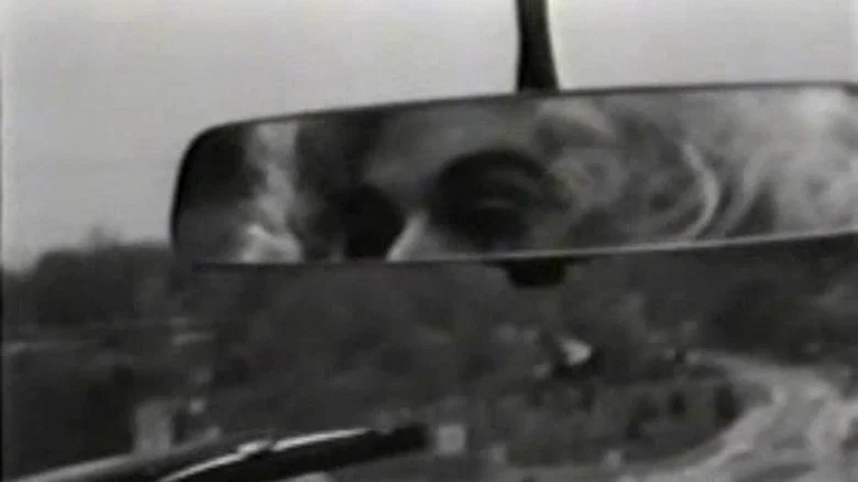 Mondo Trasho screenshot 8
