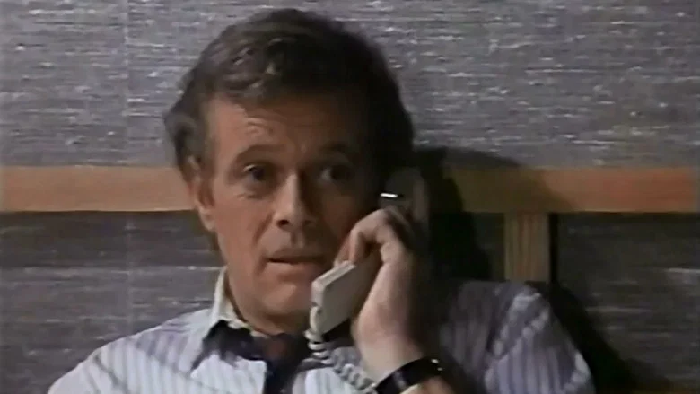 The Phone Call screenshot 2