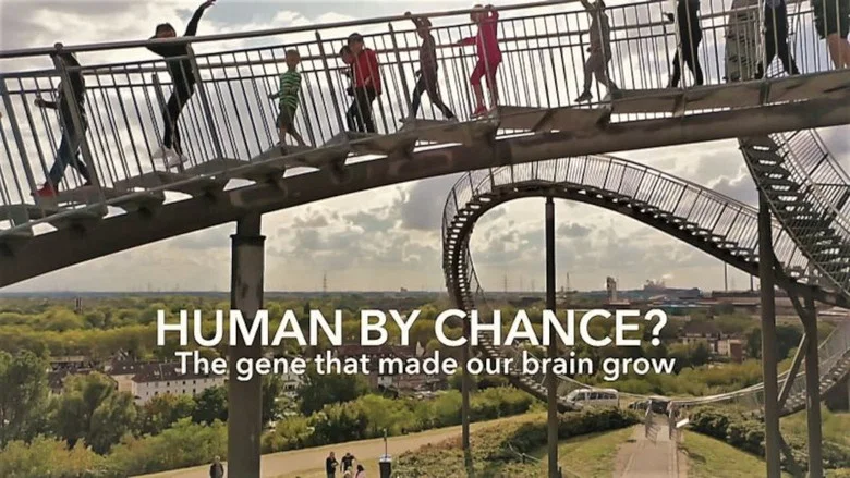 Human By Chance? screenshot 2
