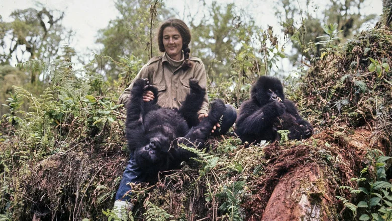 Dian Fossey: Ihr Leben für die Gorillas screenshot 1