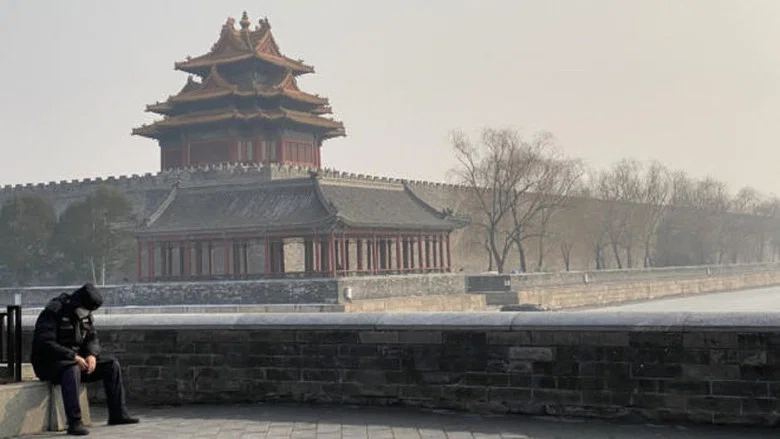 Coronavirus: The Beijing Quarantine Diaries screenshot 2