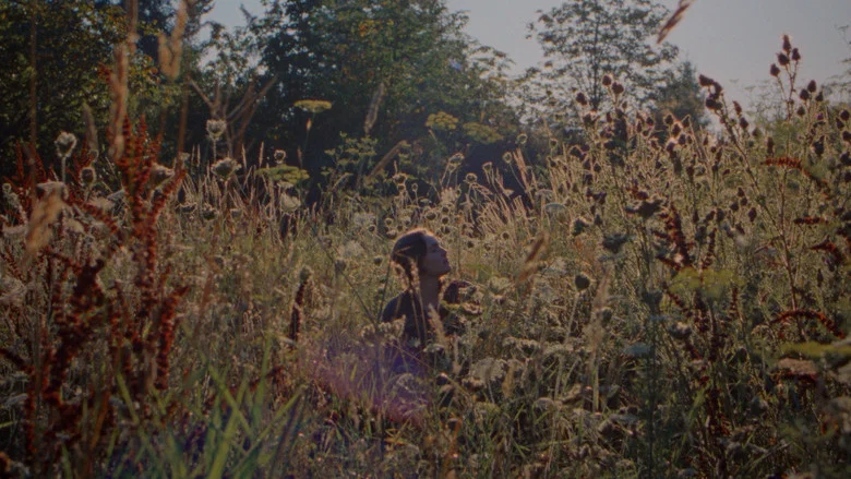 Inedia screenshot 5