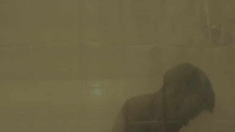 Absence of Color. screenshot 3