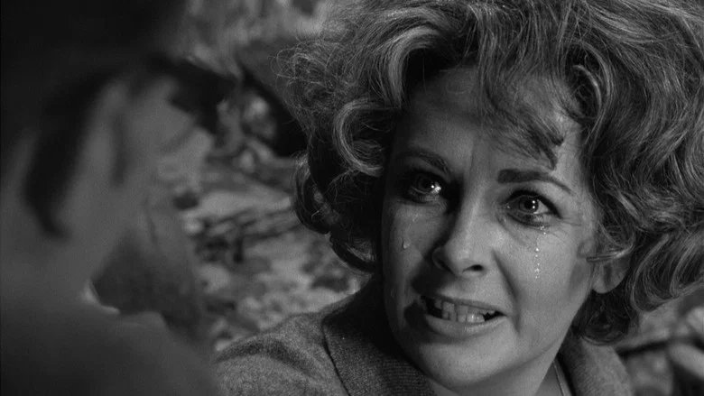 Who's Afraid of Virginia Woolf? screenshot 6