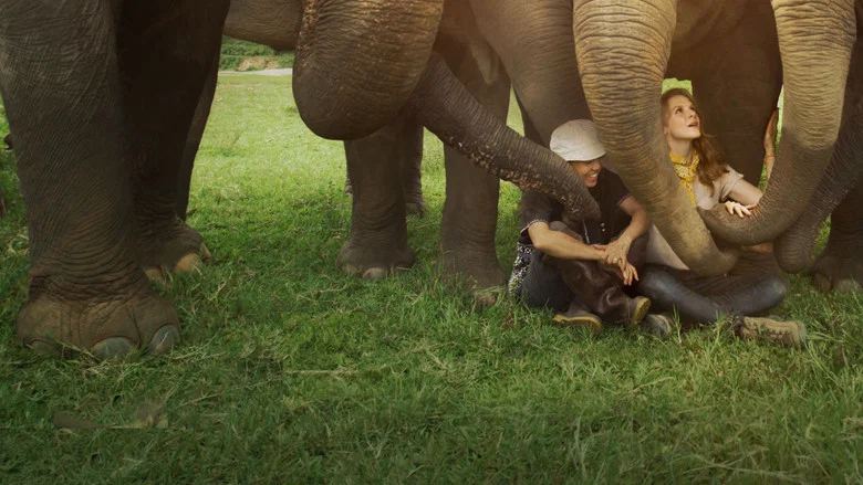 Love & Bananas: An Elephant Story screenshot 4
