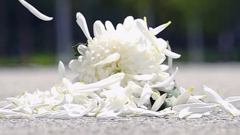 Blooming over the line screenshot 6
